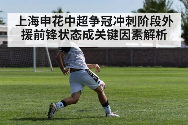 上海申花中超争冠冲刺阶段外援前锋状态成关键因素解析